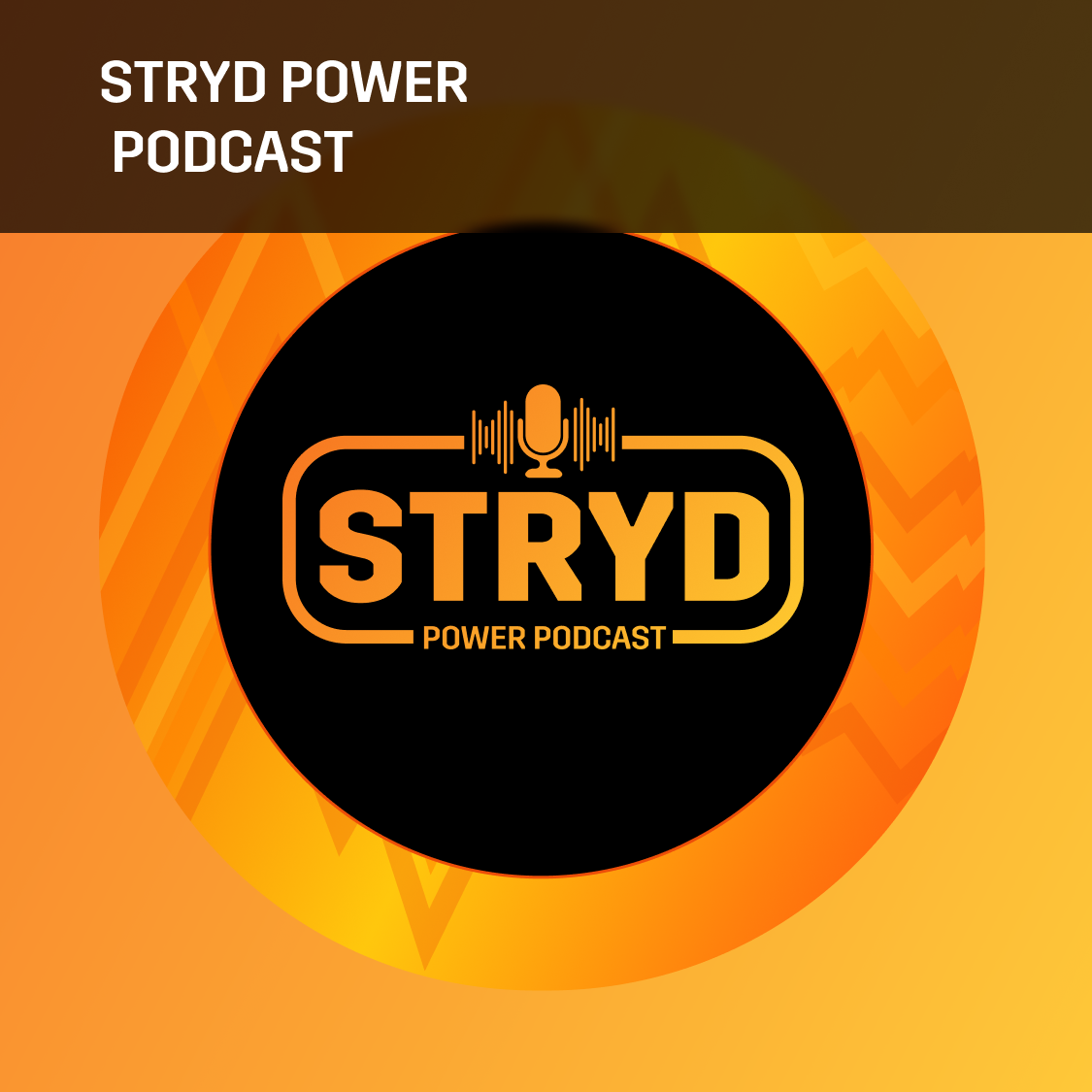 New: Discover workouts, tips, coaching strategies, & more in the Stryd app