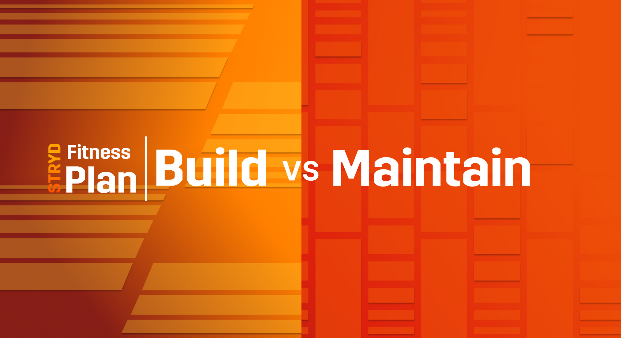 Build vs Maintenance Plan: Which one should I choose?